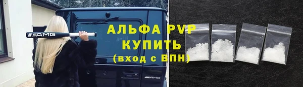 гашик Алзамай