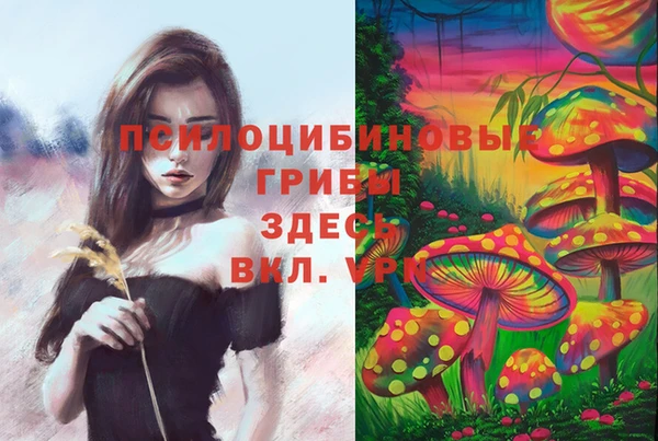 гашик Алзамай