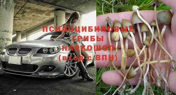 гашик Алзамай