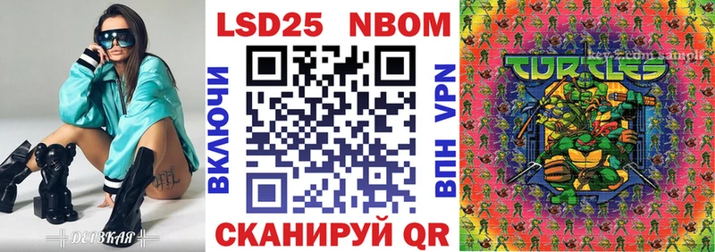 закладка  блэк спрут маркетплейс  Марки N-bome 1500мкг  Стародуб 